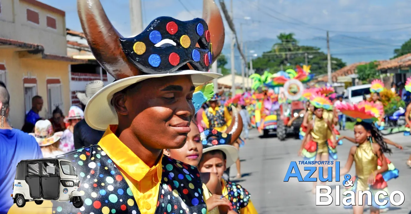 Carnaval de Toro